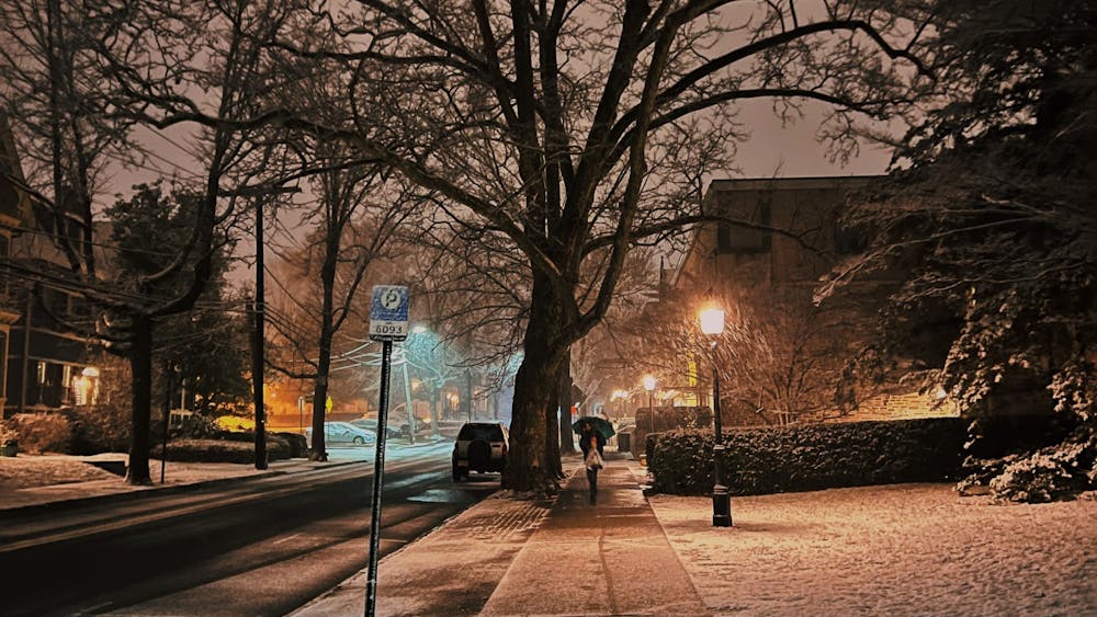 first_snow_louisa_gheorghita