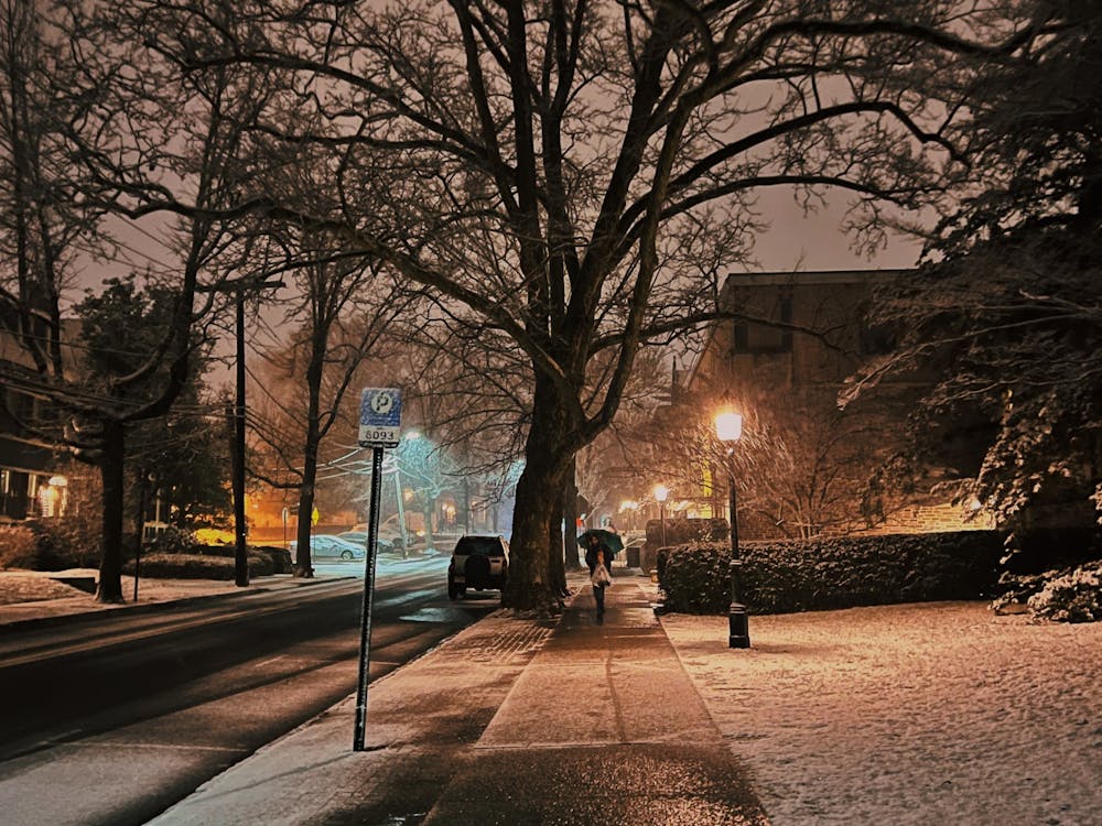 first_snow_louisa_gheorghita