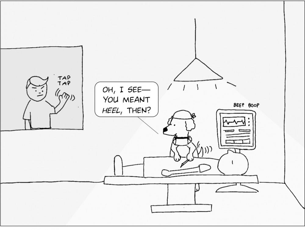 _Coco, MD,_ by Terry O'Shea '16