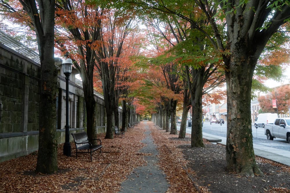 Multi-colored leaves line a stone walkway. A bench is to the left, and leaves are scattered on the ground.