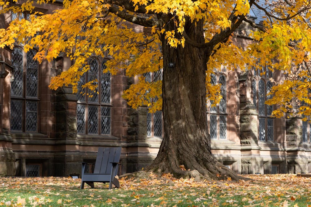 A black Adirondack chair sits under a tree with yellow leaves.