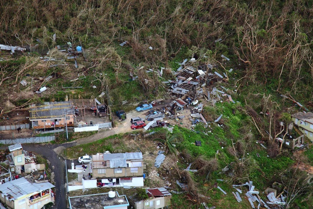 Thousands of homes suffered damage and vegetation was destroyed by violent winds during Hurricane Maria.