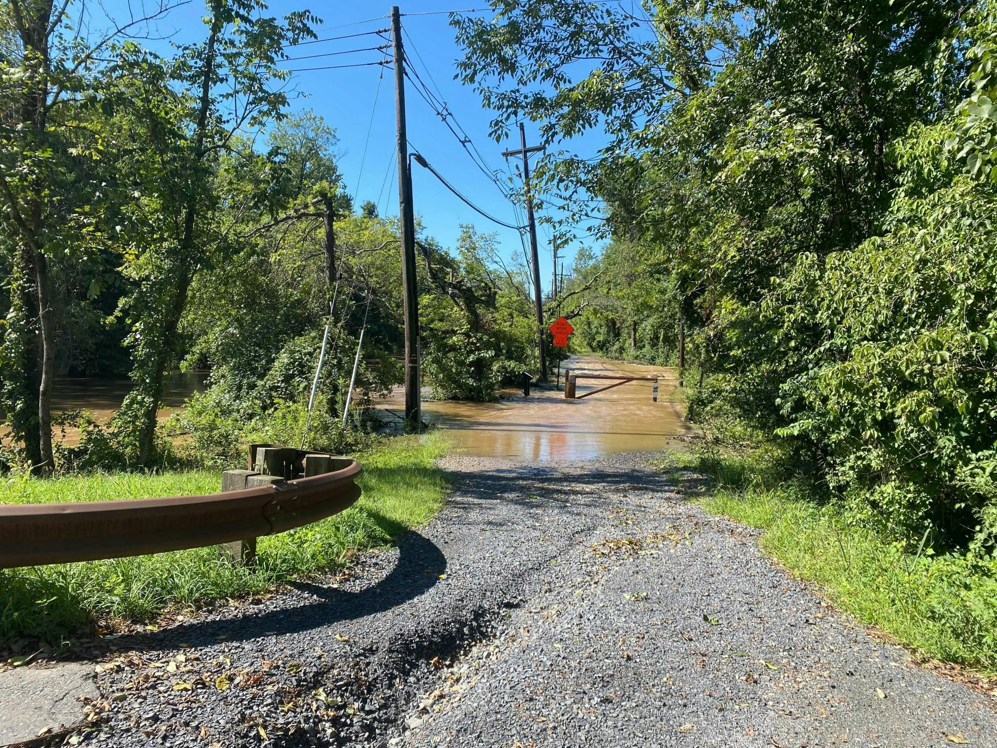 A path leads into a huge puddle, with trees on both sides. 