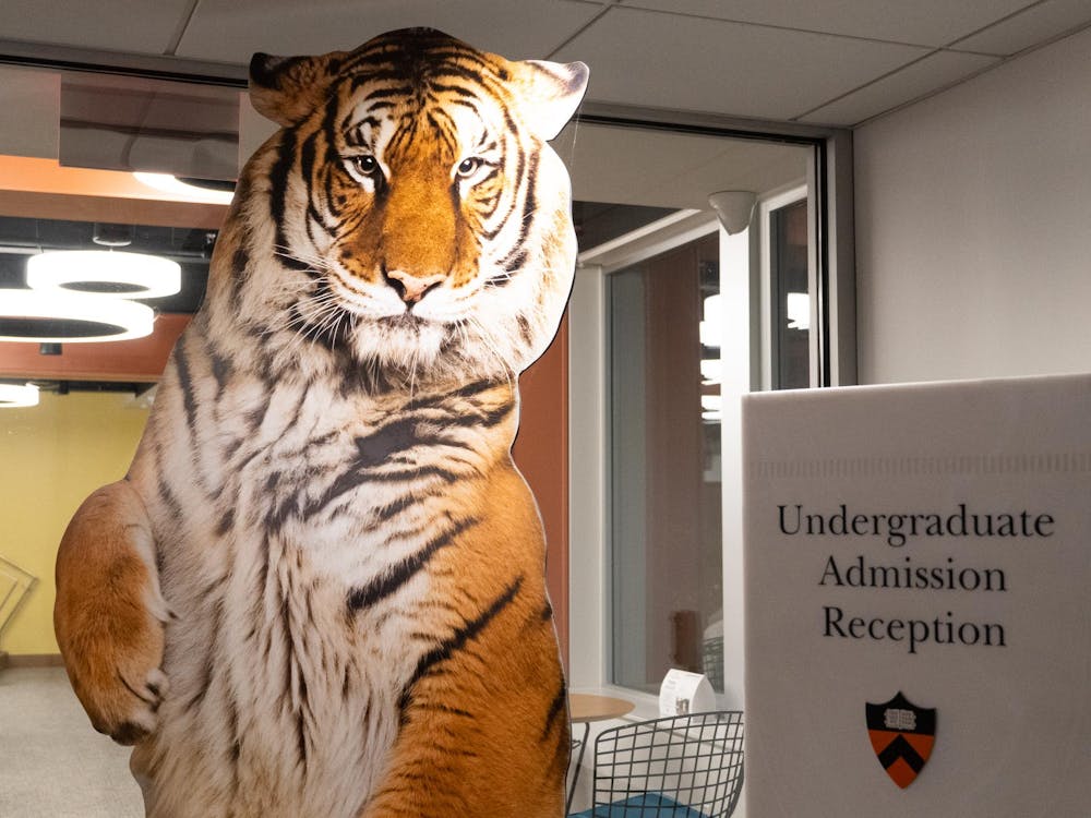 A tiger cutout in a room with circular lights and a grey sign.