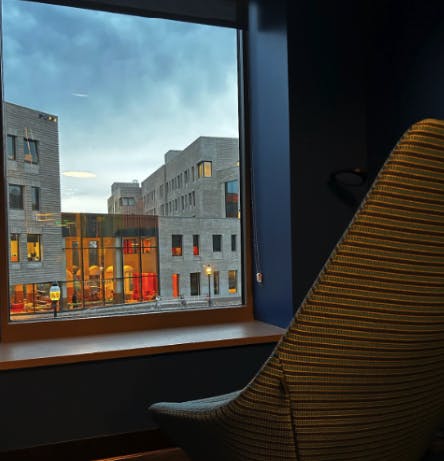 singles awareness dom media.png