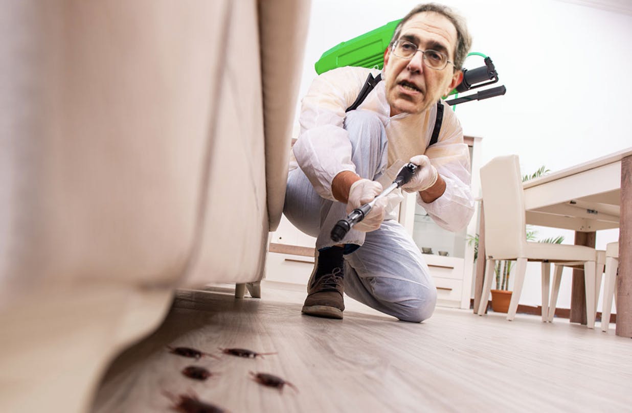 Screen Shot 2022-11-01 at 4.48.06 PM.png