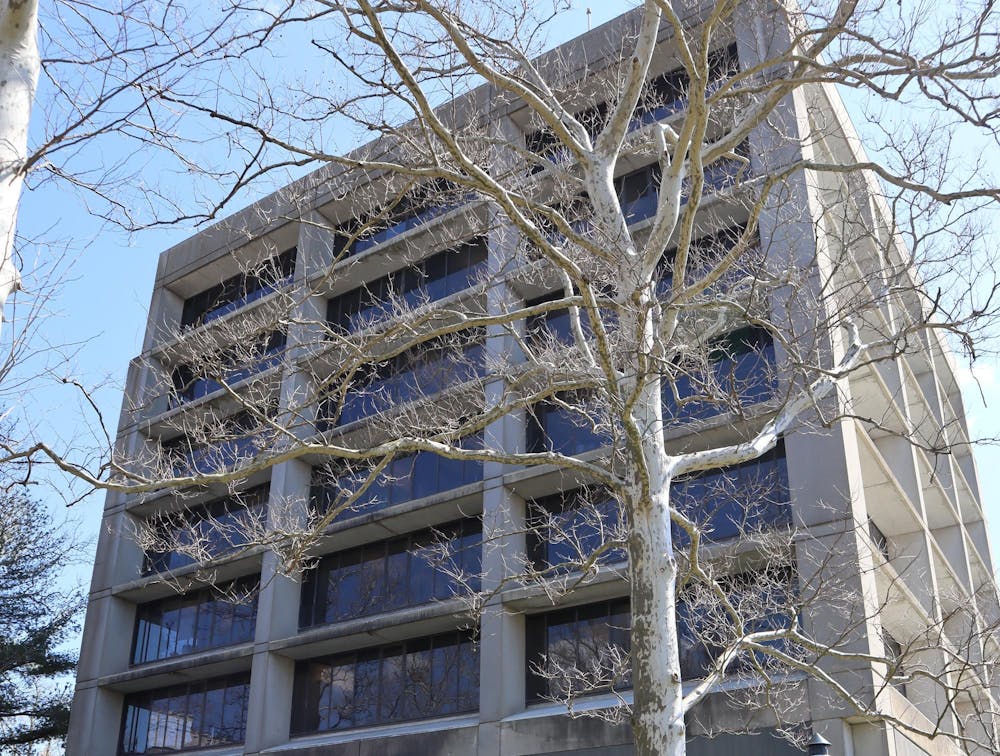 A birch tree in the foreground with a tall, square building visible through its branches in the back.