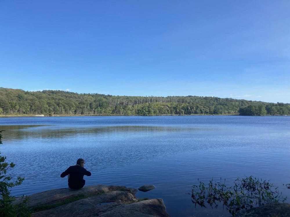 A view looking out onto a vast lake and woods. 