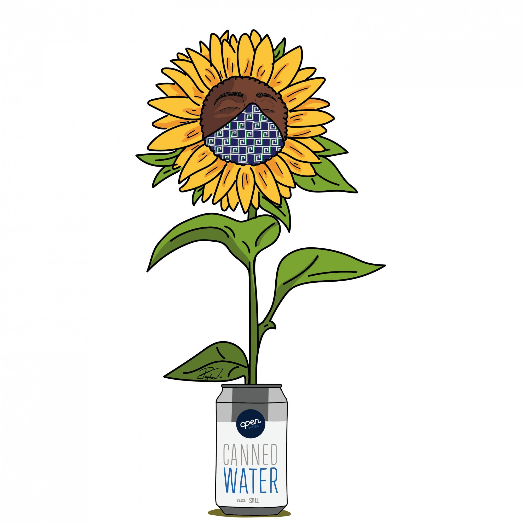 Water Your Roots (Payton Croskey).png