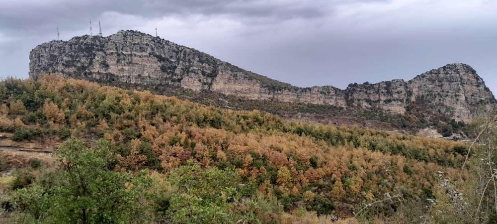 A mountain region covered with green and yellow-leaved trees and bushes. 