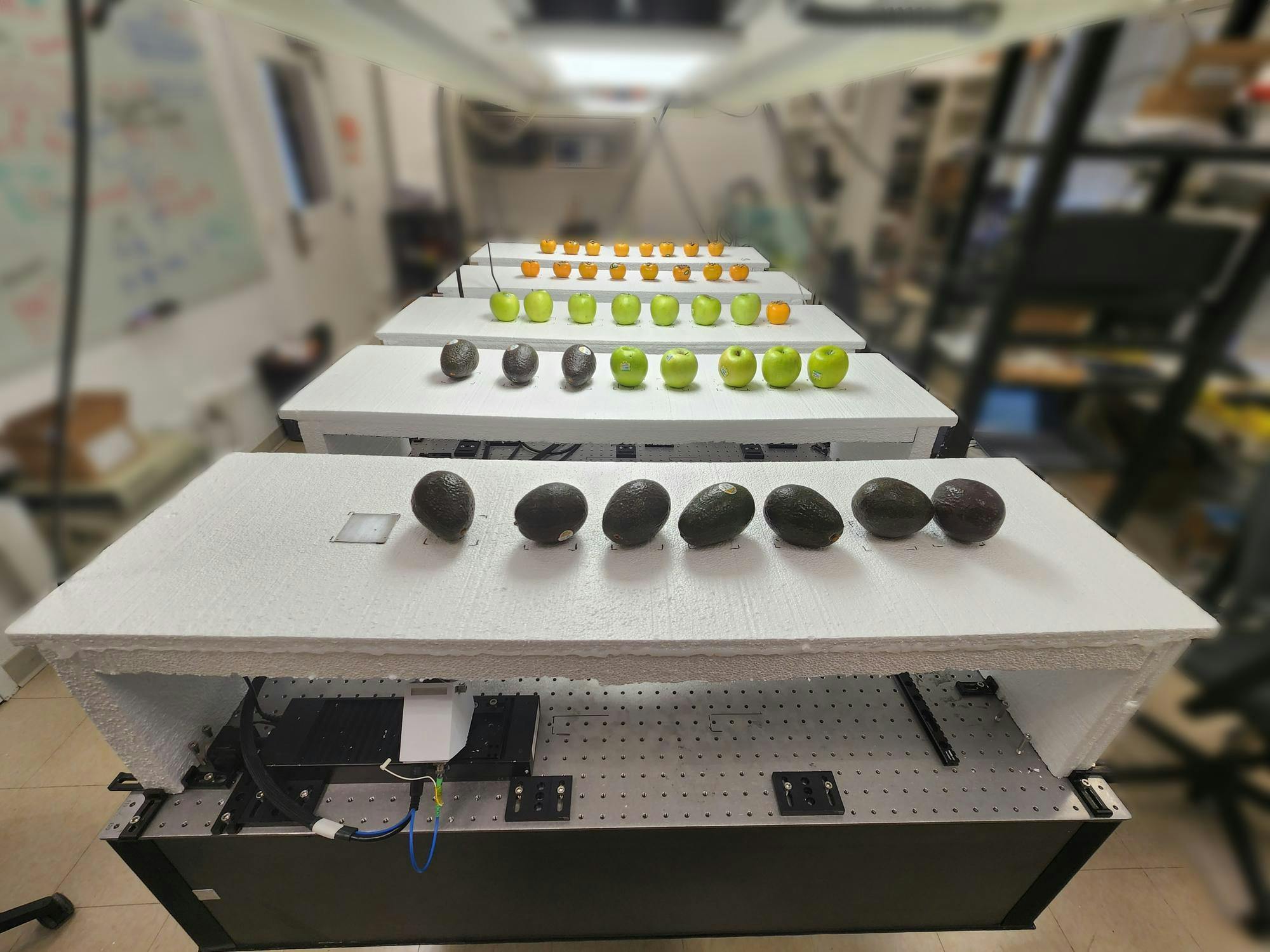 Rows of fruits and vegetables sit on tables in a lab.