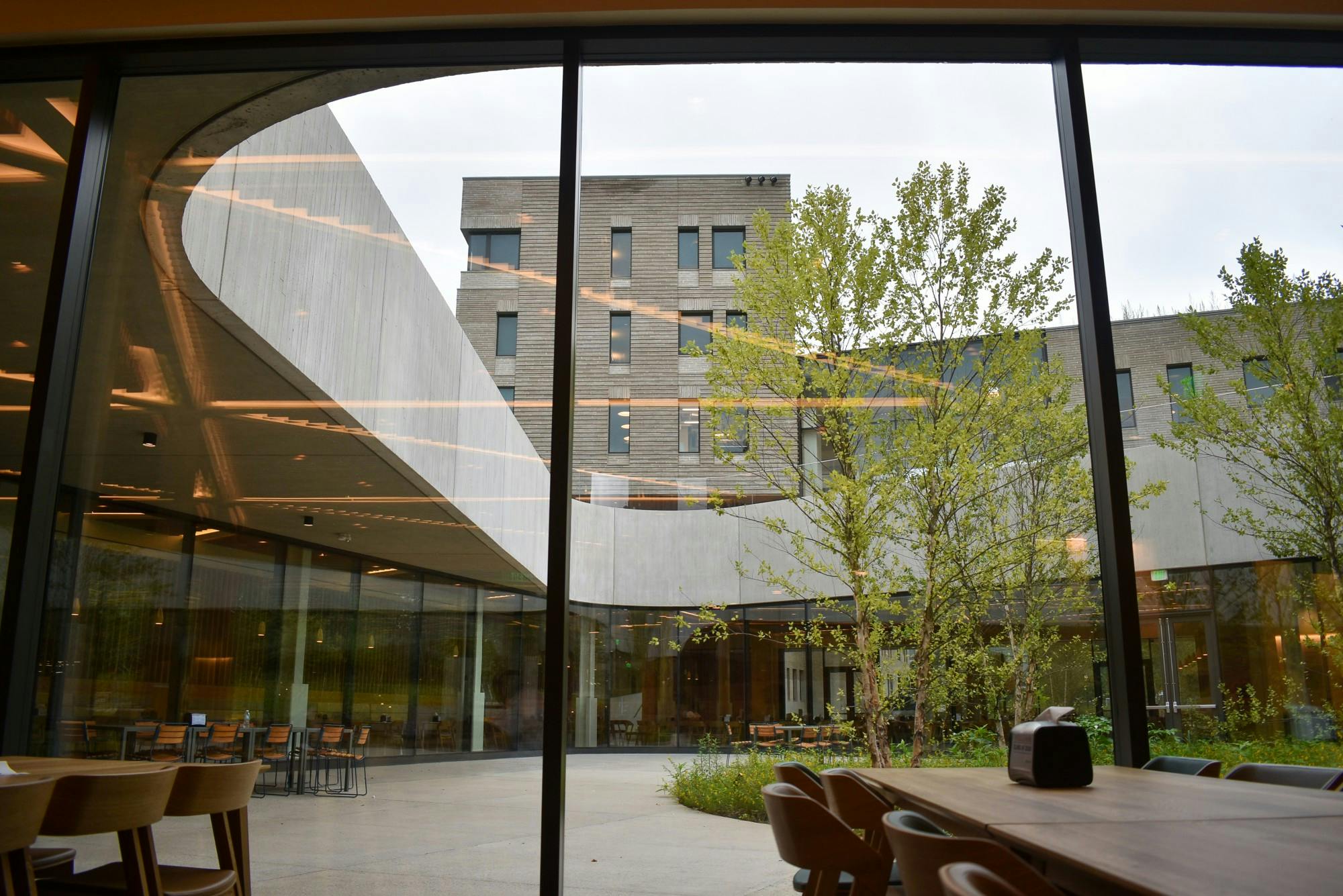 A courtyard with trees and seating behind a glass window.