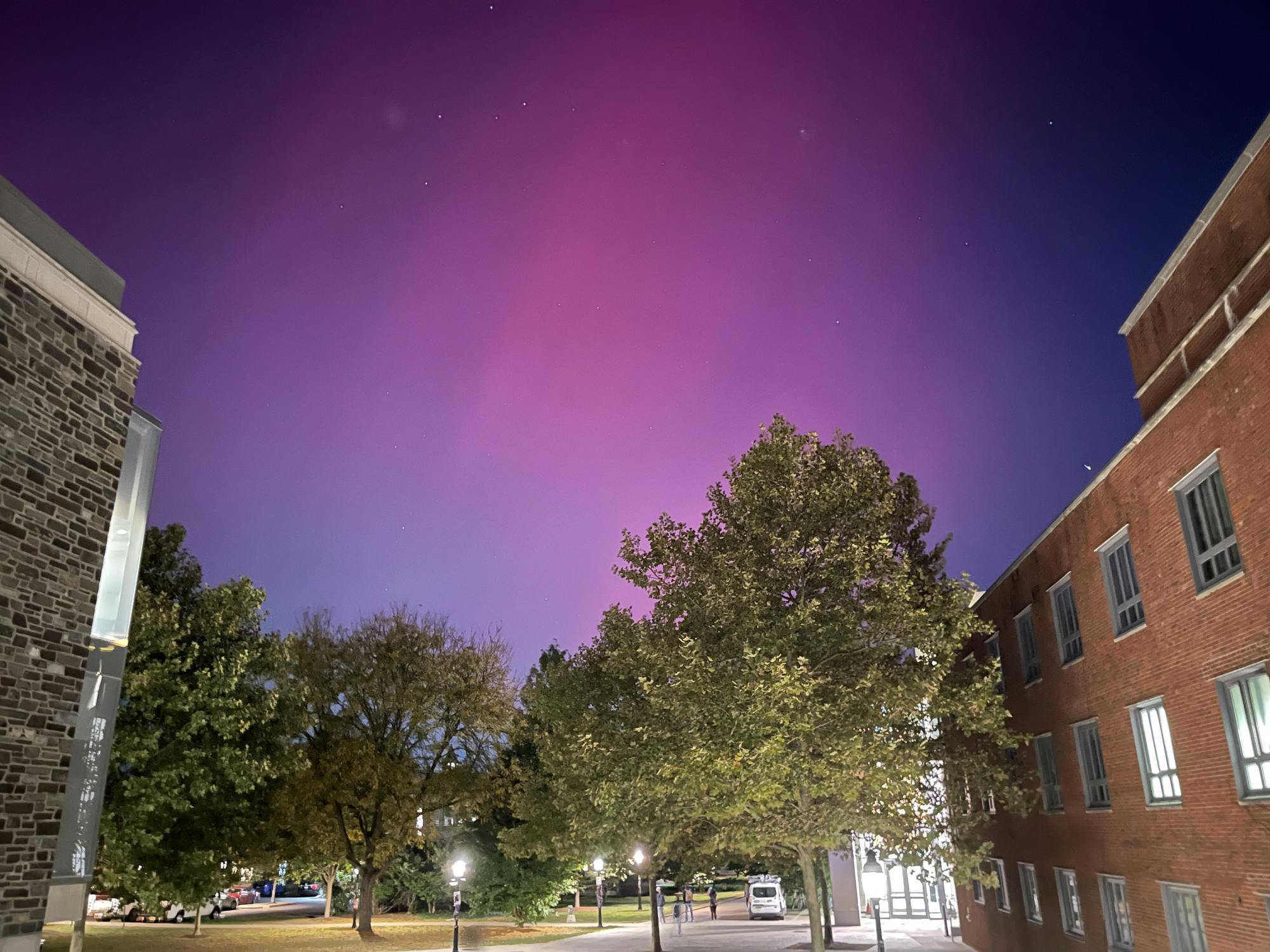 A pink and purple night sky with buildings and shrubbery in the foreground.