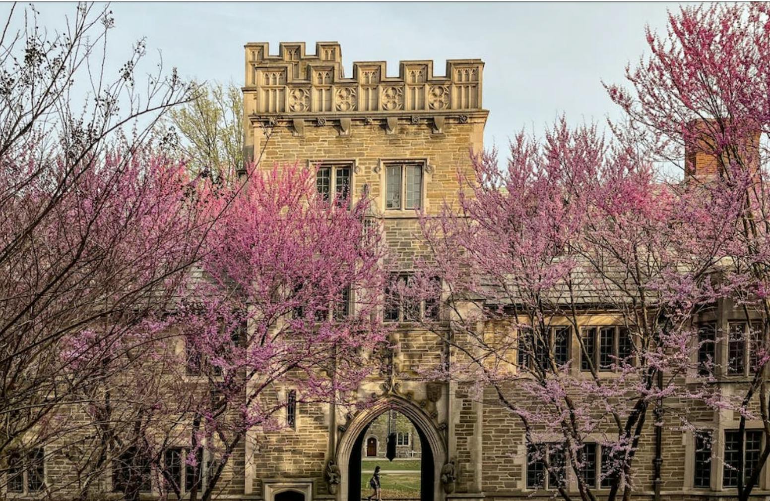 Brick building with an arch behind trees with pink flowers.