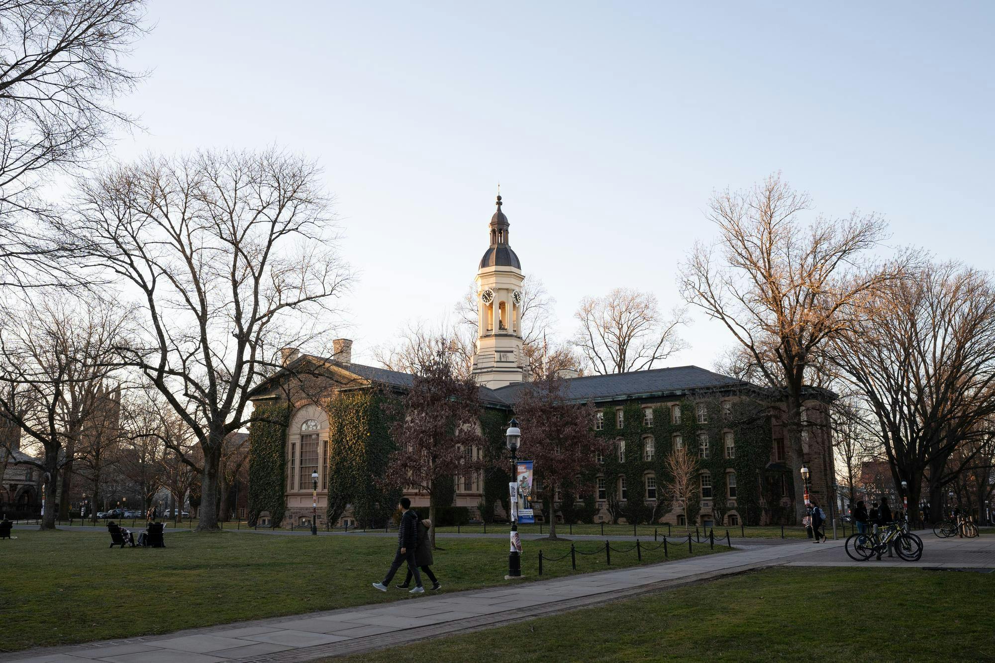 A wide view of the back of a building covered in ivy. Barren trees and grass are in the foreground and it is twilight outside.