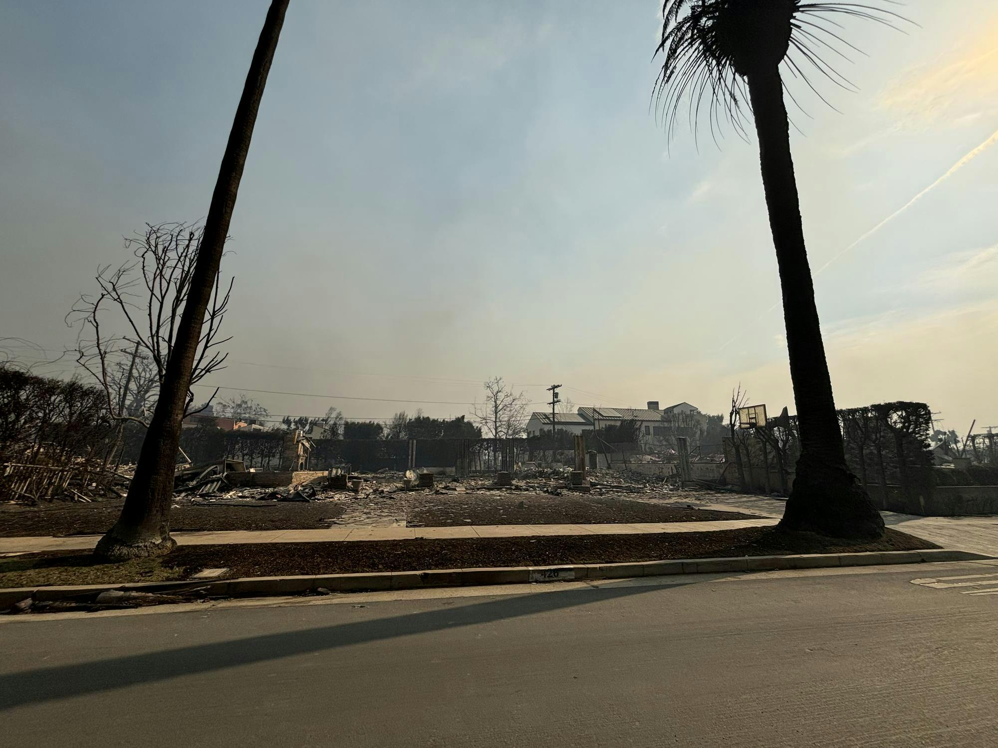 Two trees stand in front of a house which has been reduced to rubble as a result of the LA fires.