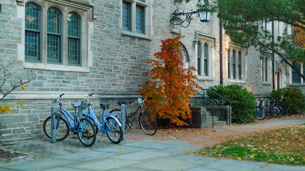 A grey stone building with bike racks and doors and some green grass showing with a bright red tree standing in front