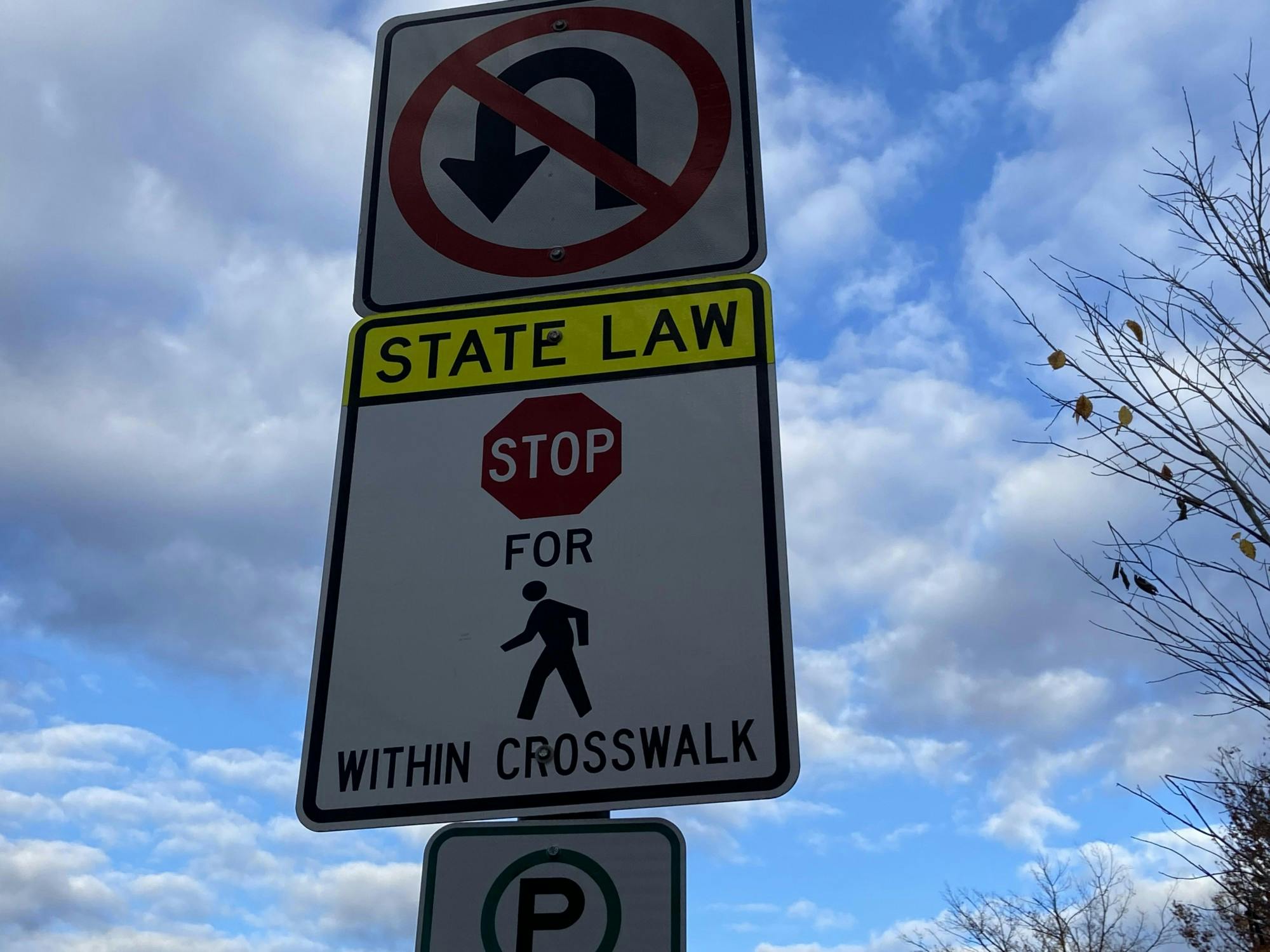 pedestrian safety.jpeg