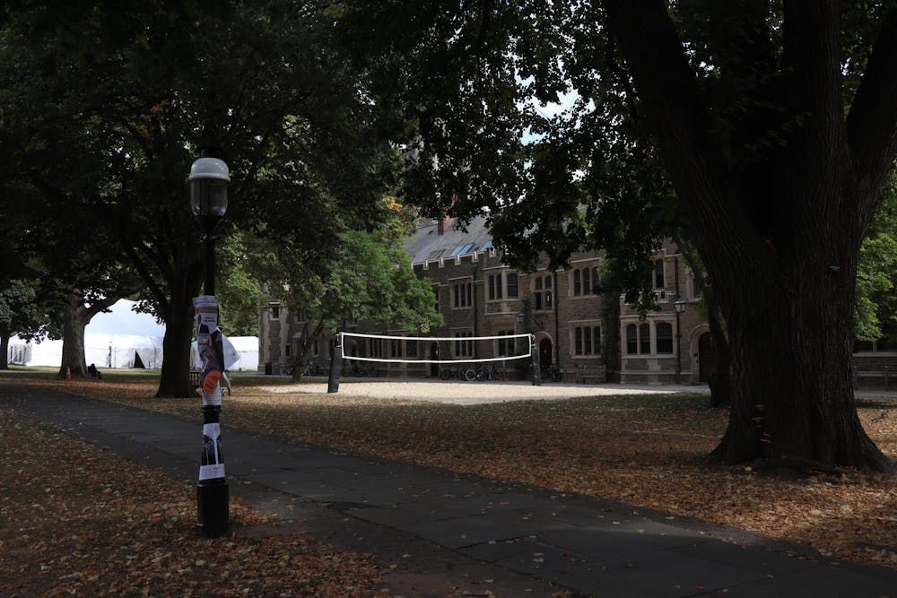 A lamppost stands beside a path surrounded by orange and yellow fallen leaves, with trees and a net over a pit of sand in the background