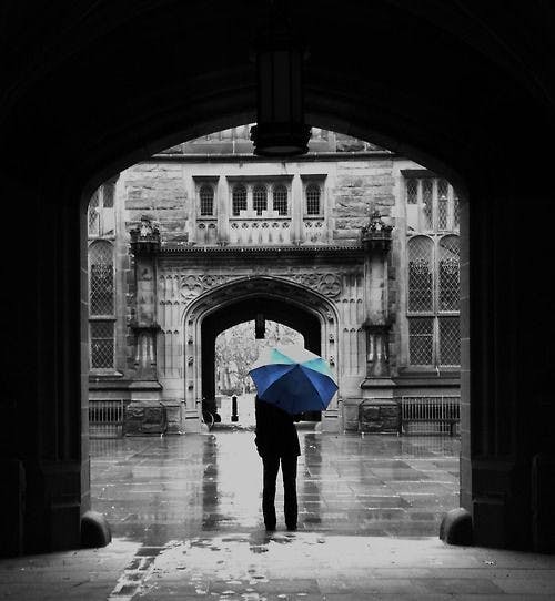 1bc7f508153b9daff100ebdfc22304e5--princeton-rainy-days
