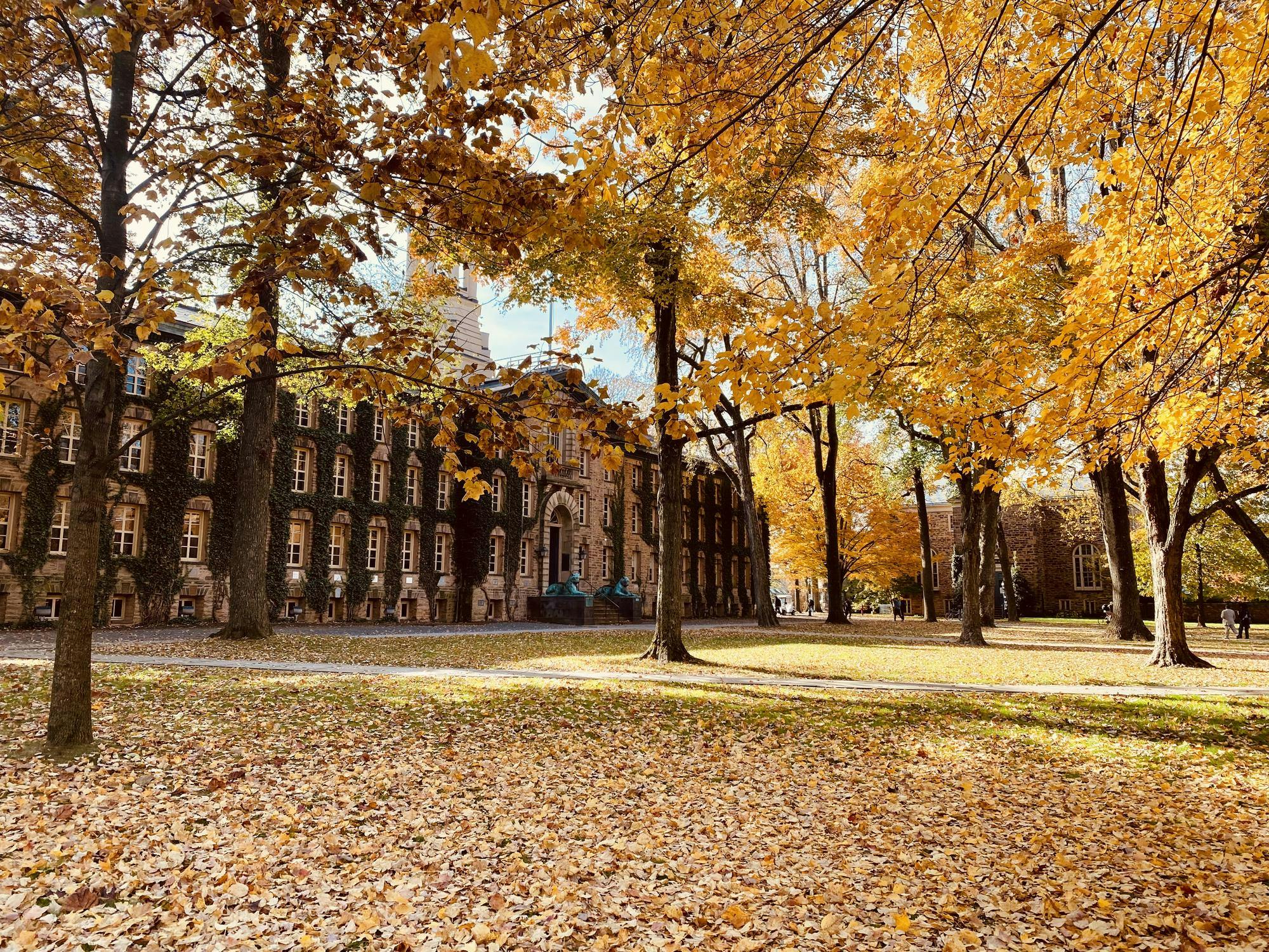 Yellow leaves line trees and the ground in front of side-front view of tan building lined with green ivy on the front.