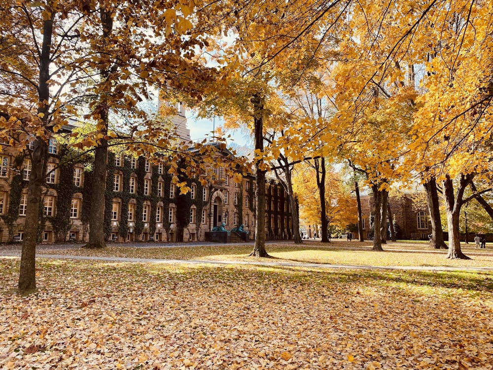 Yellow leaves line trees and the ground in front of side-front view of tan building lined with green ivy on the front.
