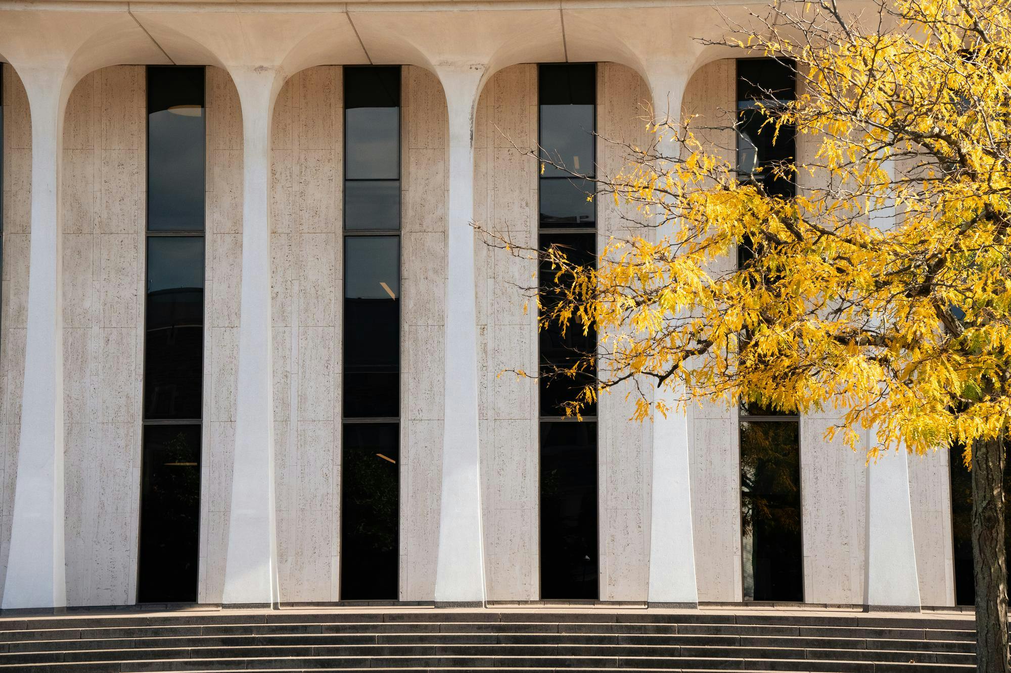 A tall white building with thin columns stretching upwards, and a branch with yellow leaves extending in the foreground
