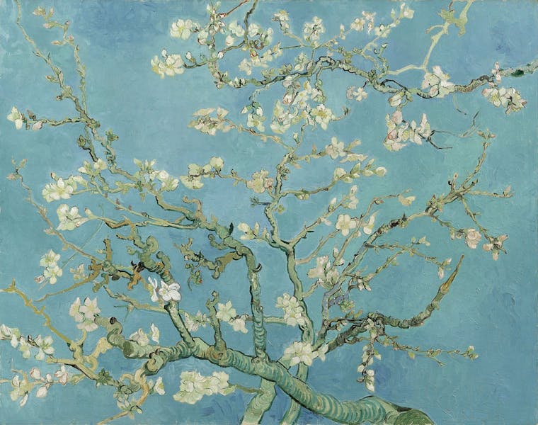 On Van Gogh: what it means to be 'useful' in the world - The