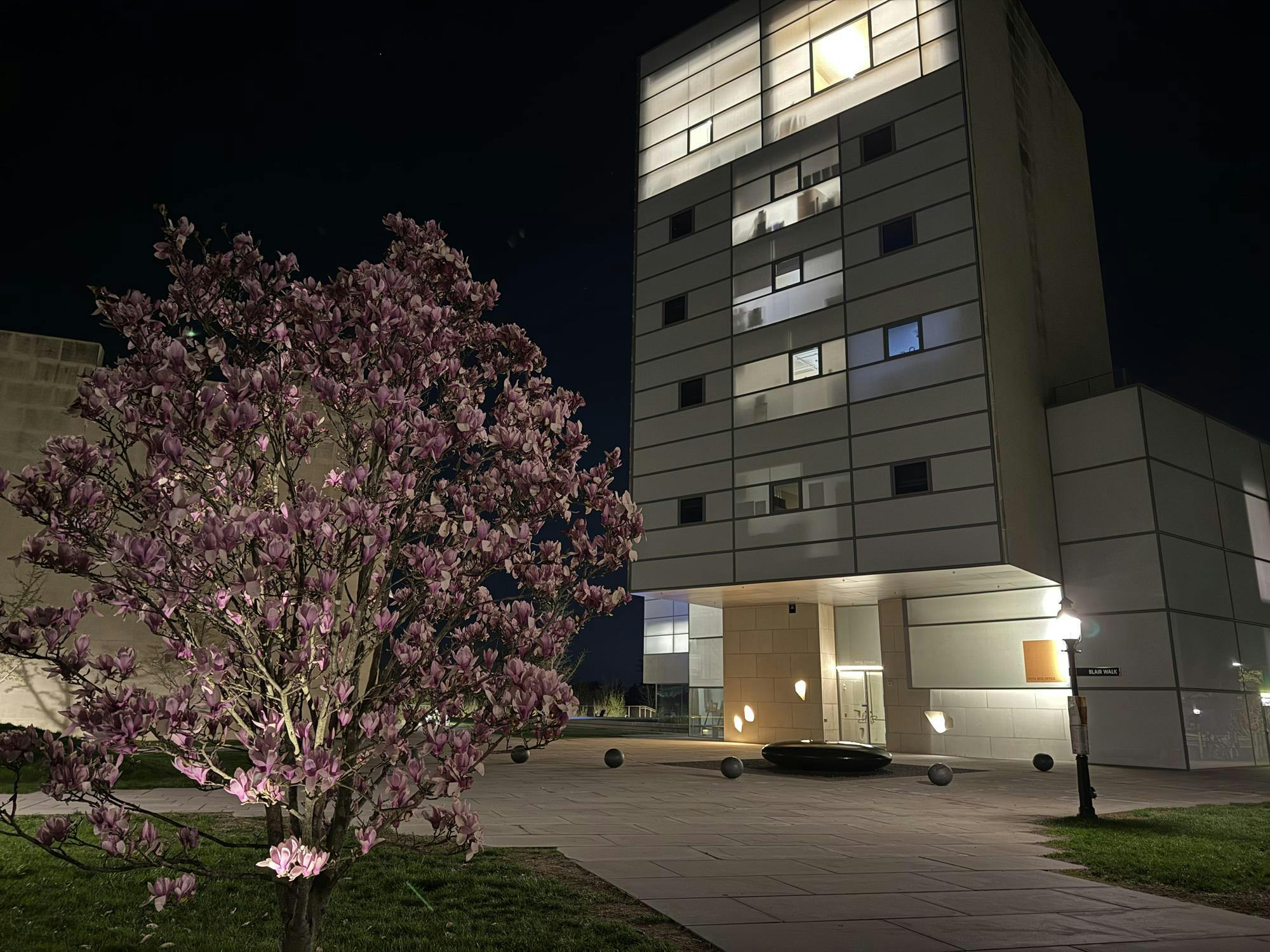 A tree with pink blossoms is on the left in the foreground. On the right, there is a white building. 