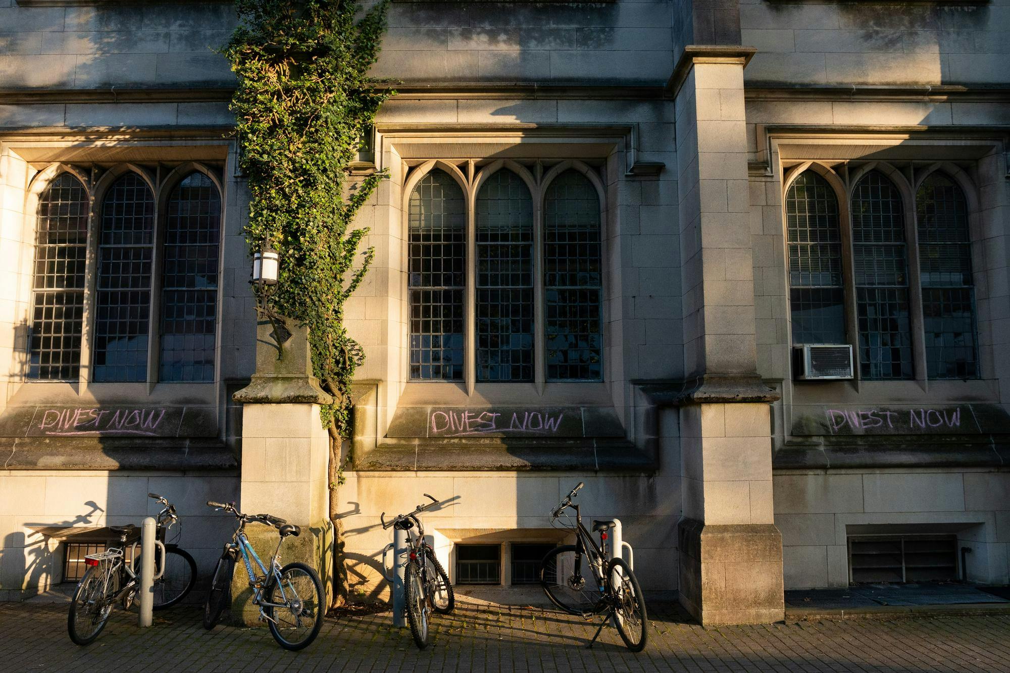 Stone walls of a building with “divest now” written on in pink chalk.
