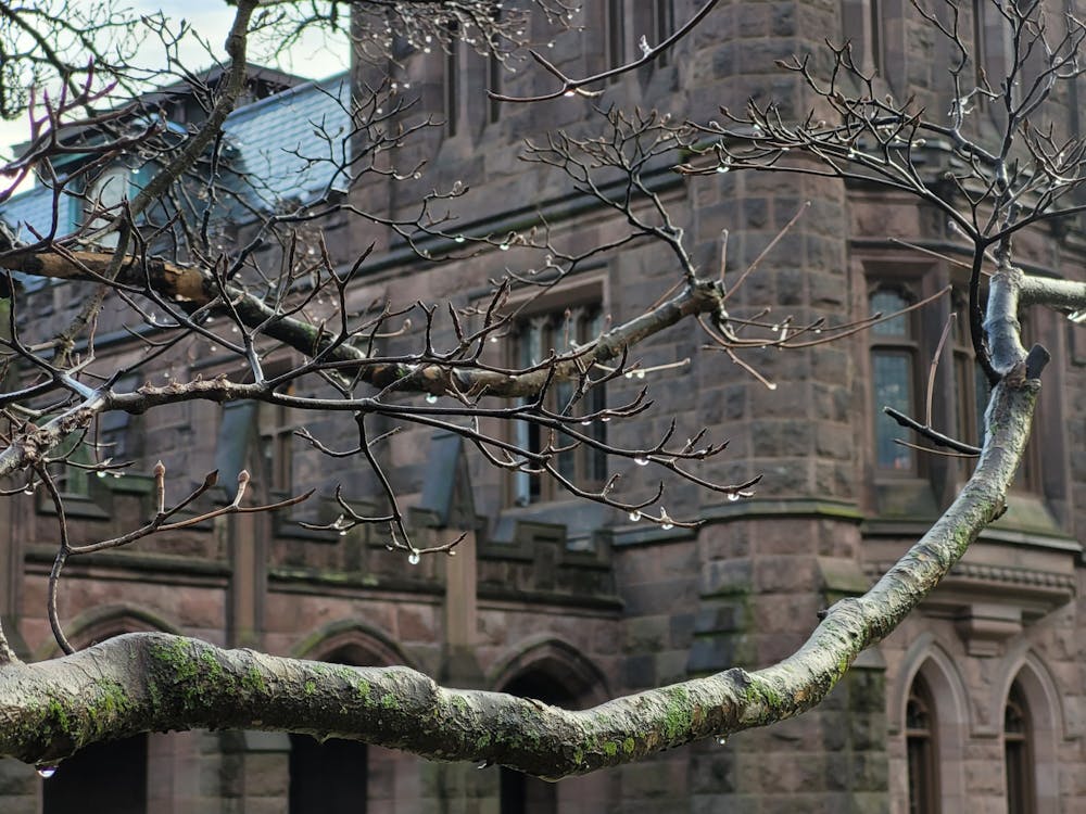 Brown stone building. A branch is in the foreground, with water droplets trickling off of it. 