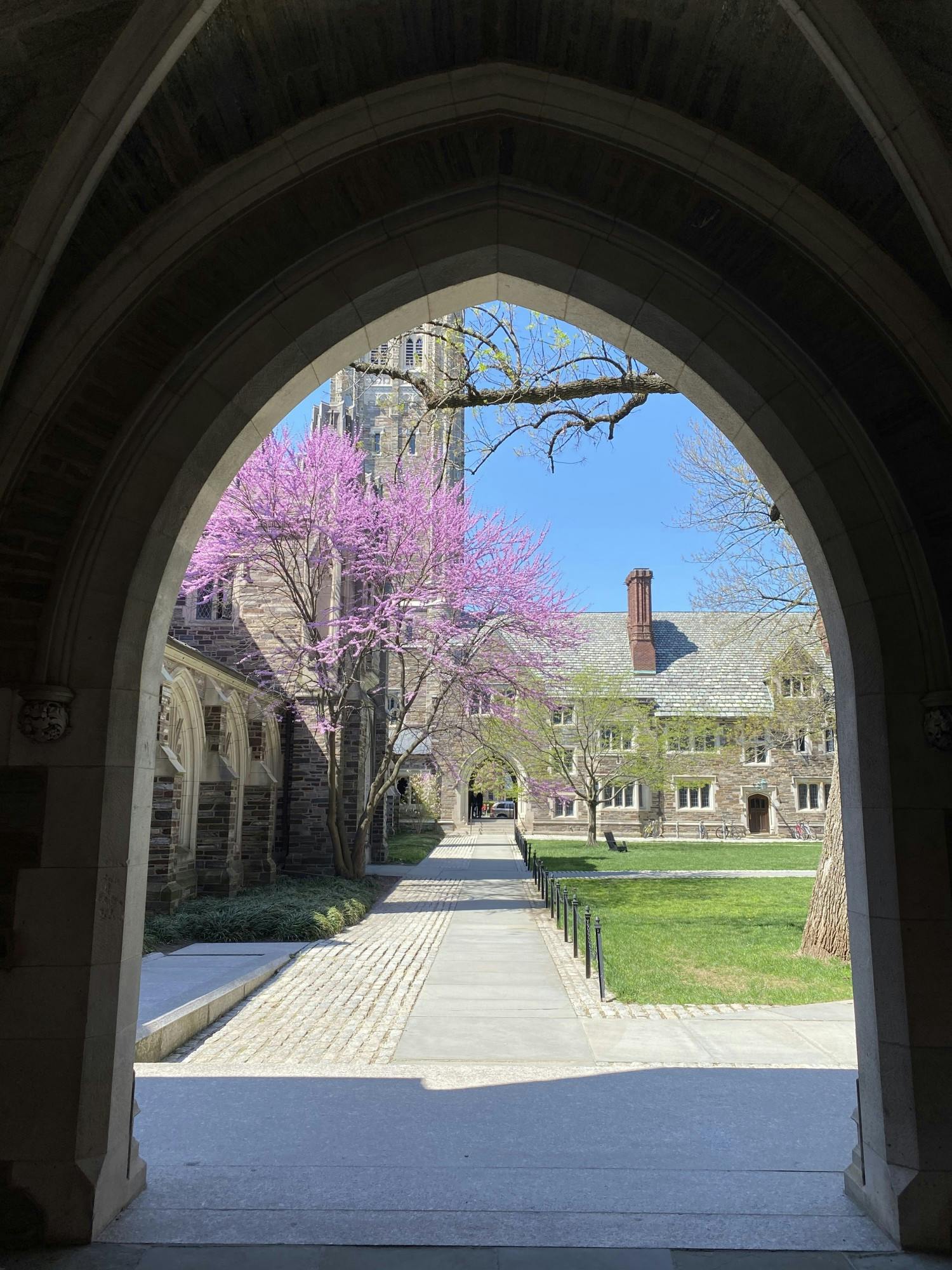 Ten things to do in your first week at Princeton The Princetonian