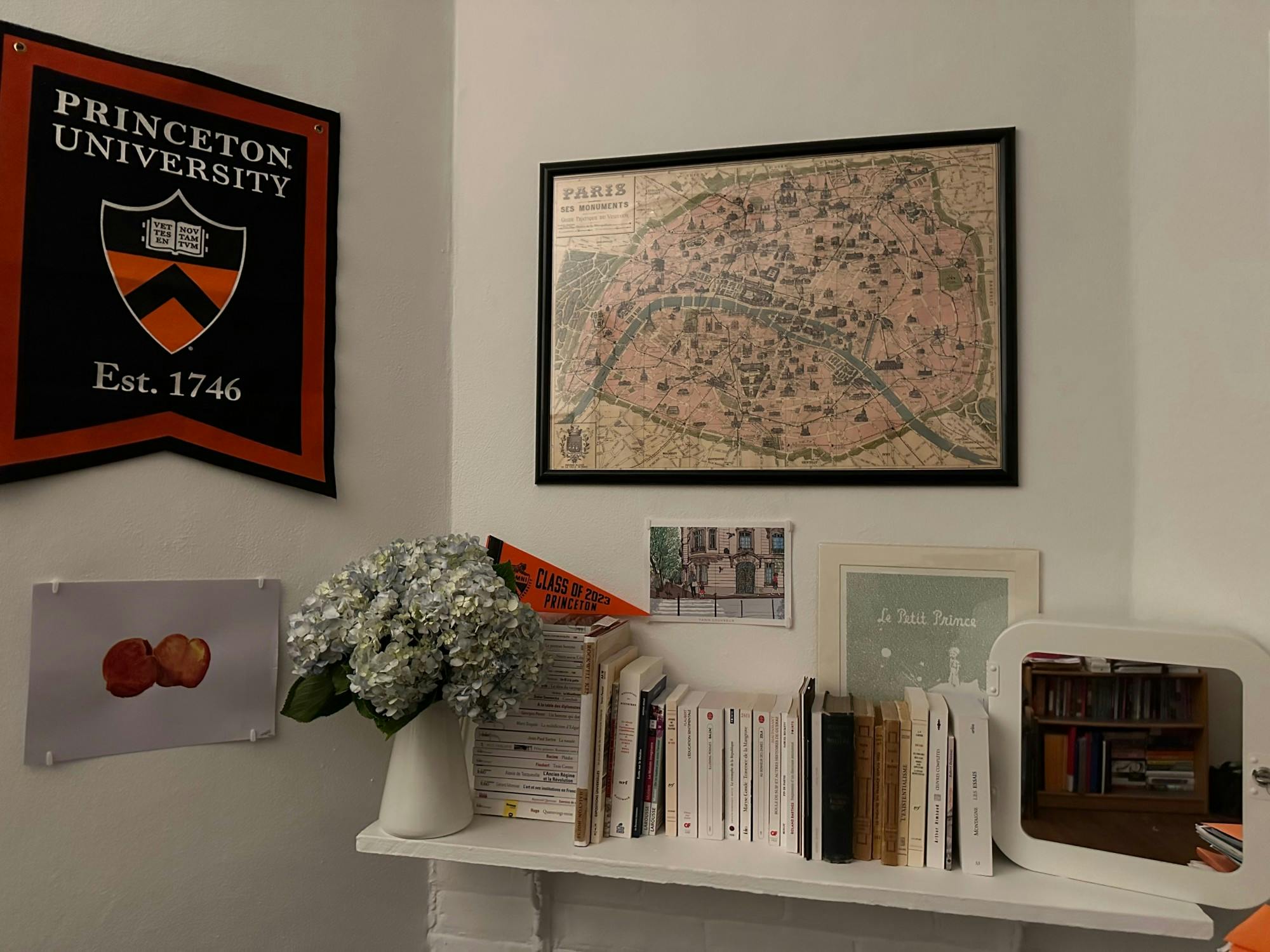 Dorm bookshelf - JPFG.jpeg