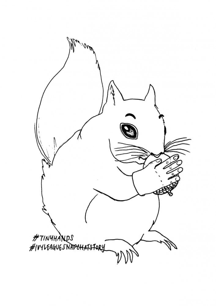 21st century adaptation