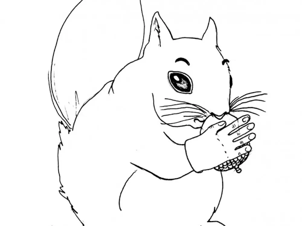 21st century adaptation