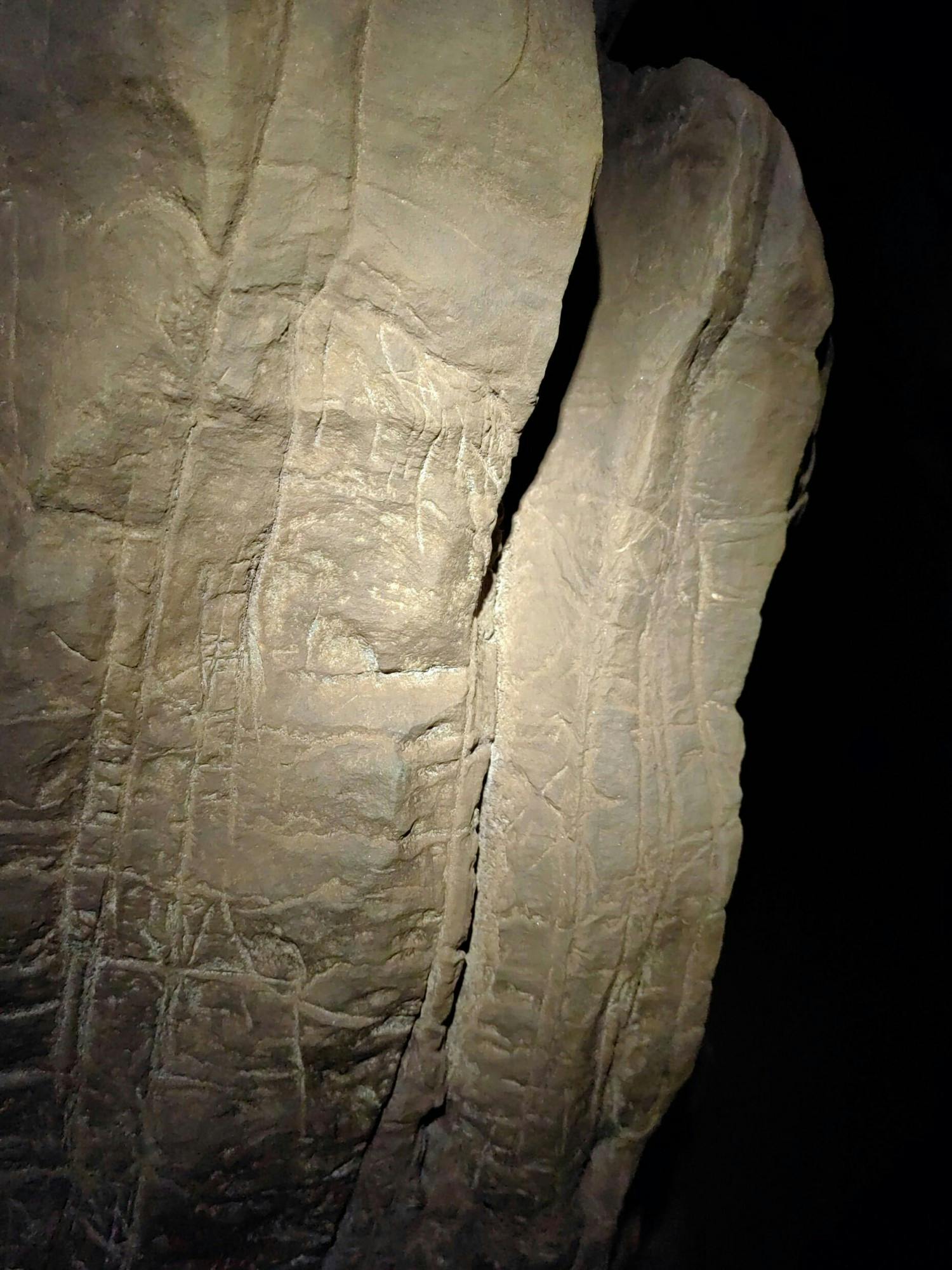 A research team’s finding of pre-human burial sites was publicly lauded ...
