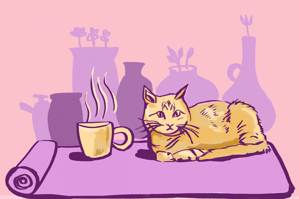 andrea-gomez-cat-cafe-pottery-illy