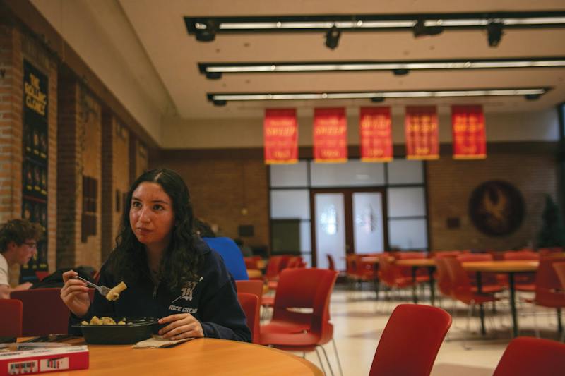 Students prioritize traditions for Will Rice renovations - The Rice ...