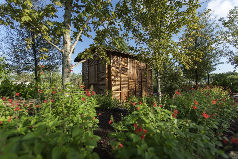 houston-botanic-garden-curiosity-cabinet-in-upland-forest-in-global-collection-garden