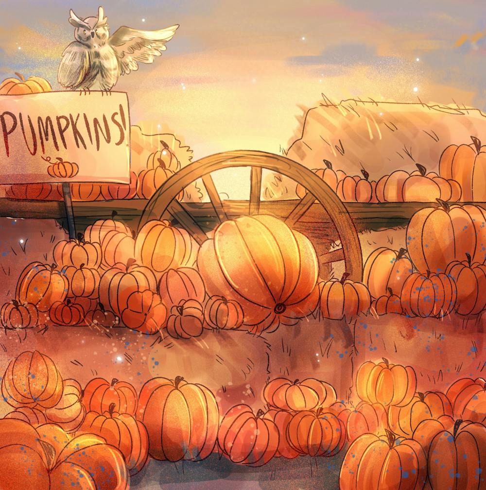 hai-van-hoang-pumpkins