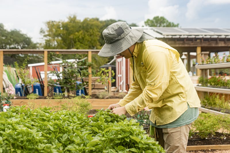 Students talk unconventional jobs at Rice The Rice Thresher
