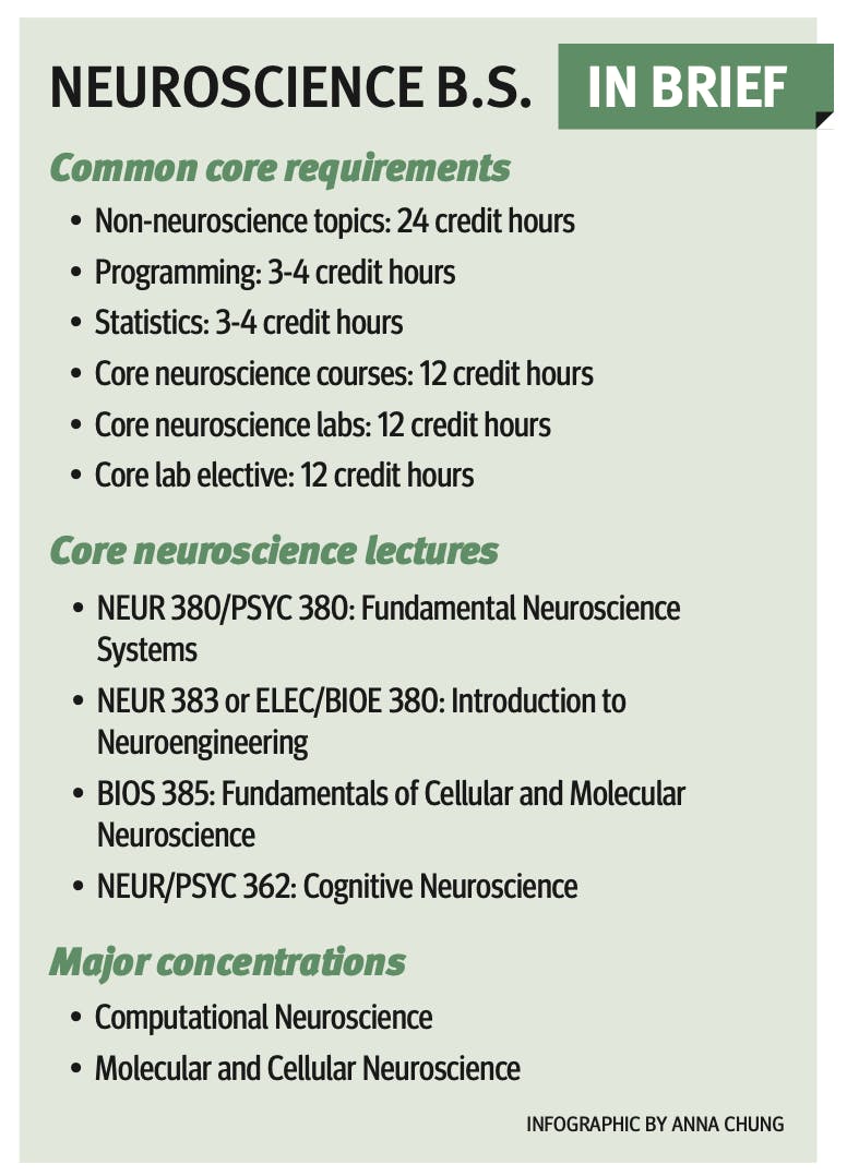 Neuroscience B.S. To Debut In The Fall - The Rice Thresher