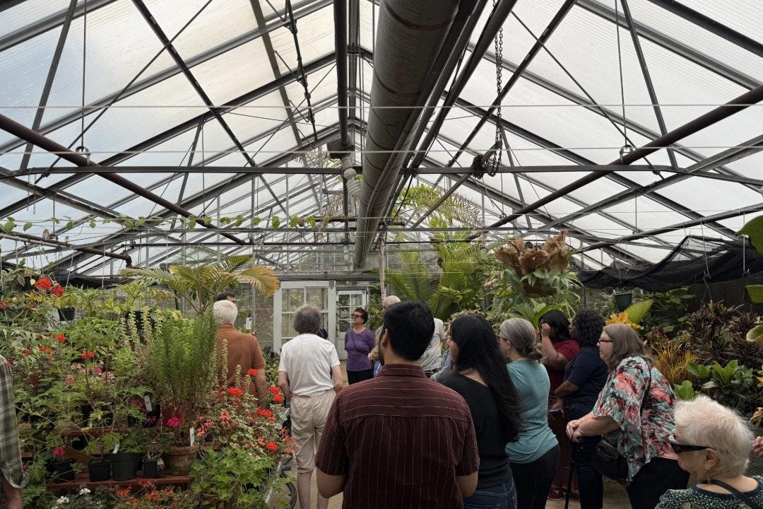 Art of Floral Design: Ikebana, hidden campus gems, opportunities