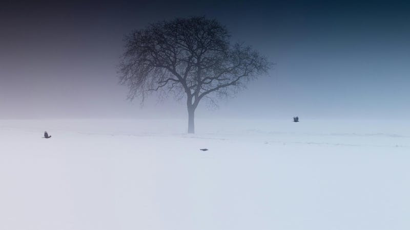 KOZLOWSKI: Avoid winter isolation to better deal with stress - The ...