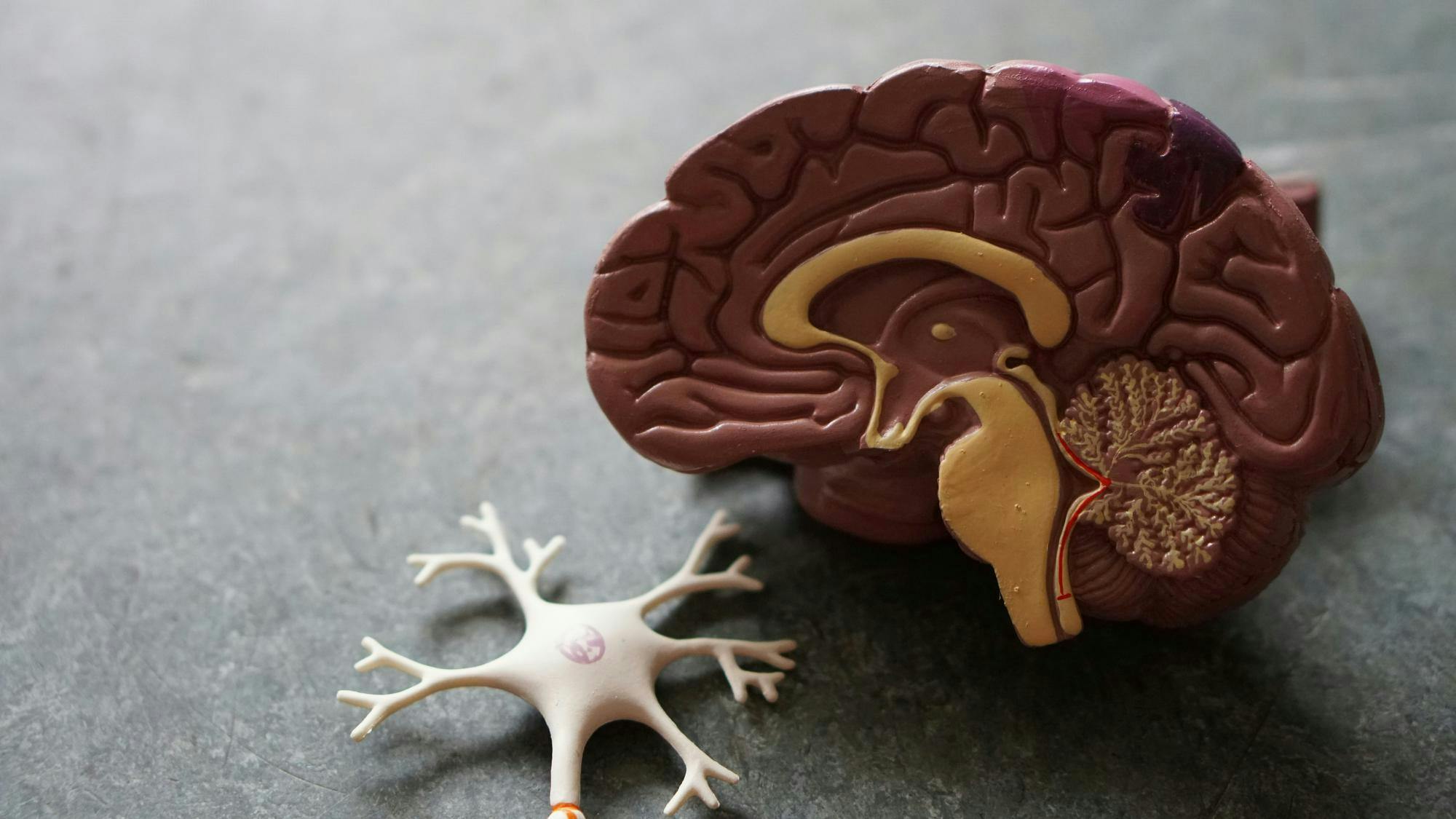Broad impulse genes strongly affect addiction risk, U. health study ...
