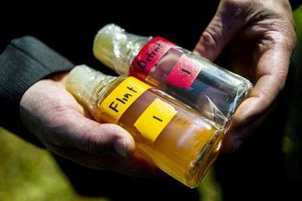 Flint water vs Detroit water