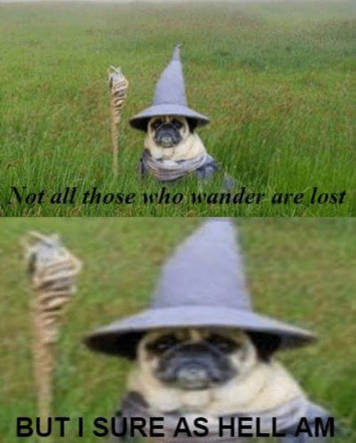 Searching for a career on your own doesn't mean you're alone doing so