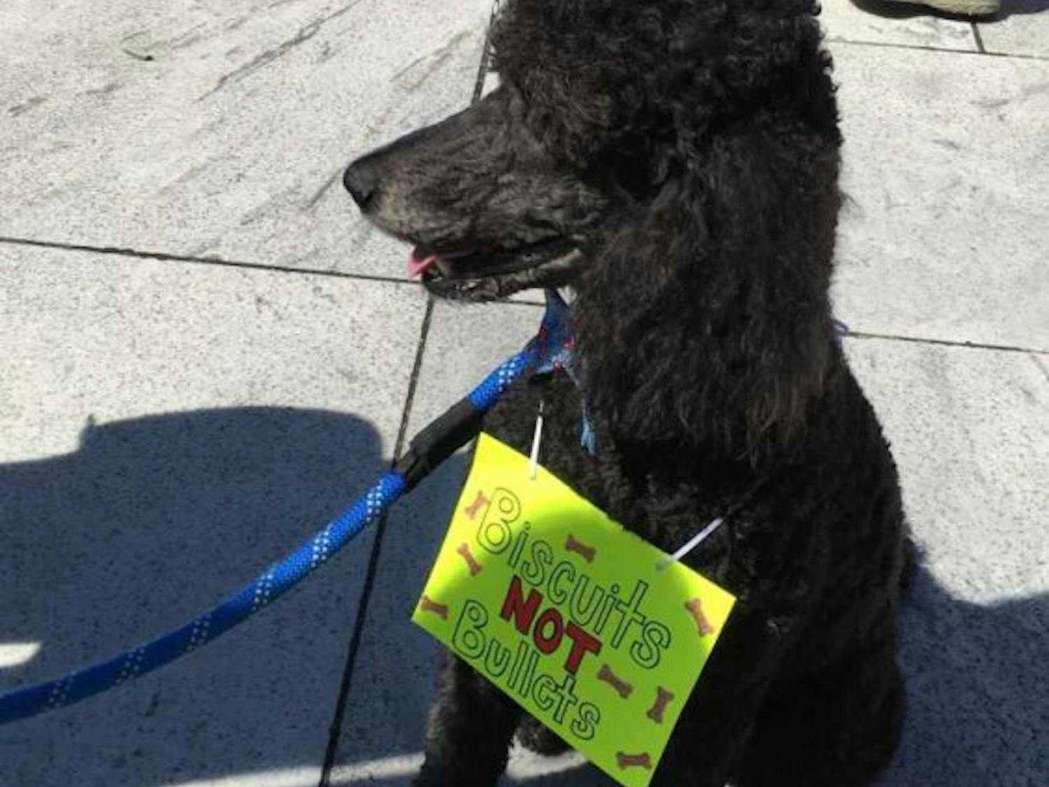 88aa1da0eea8753f940dbb61f0a30c12