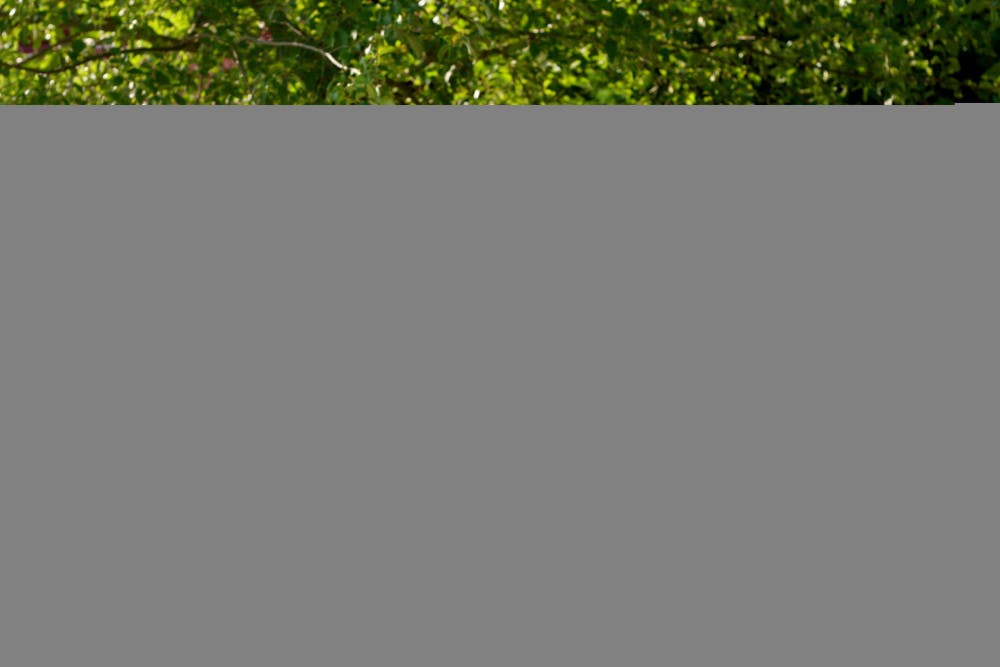 fb6be9993dcb028a054274f1900241ae