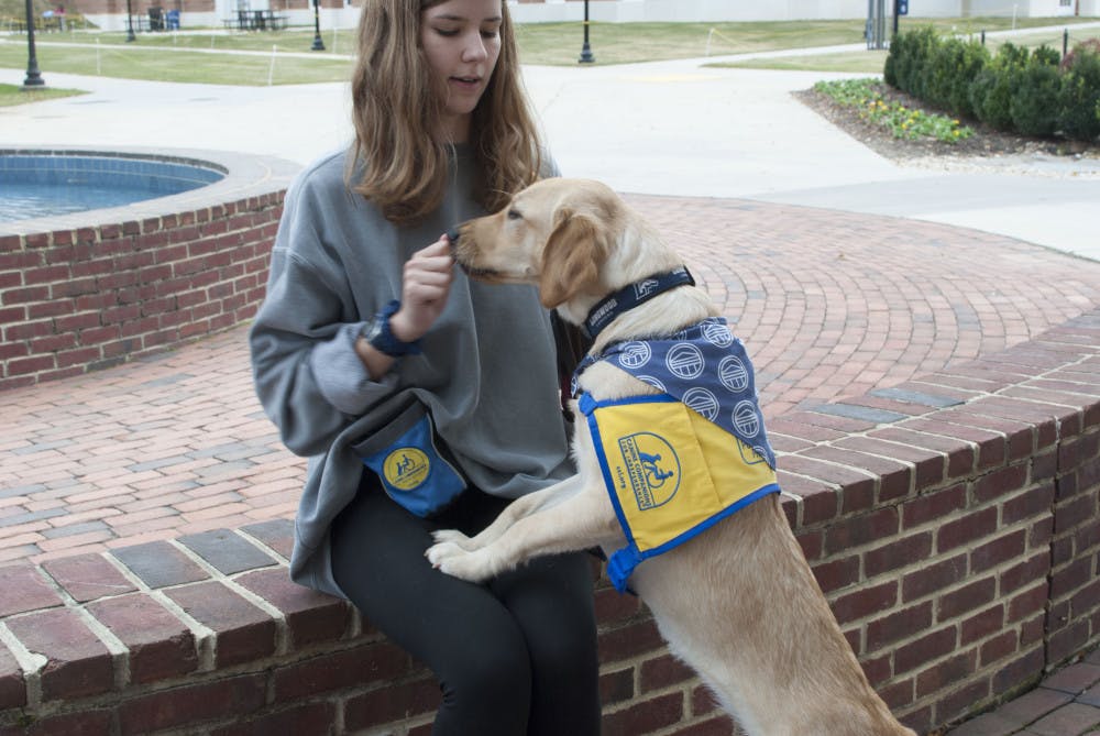 508f12de8a6c6f338a0de8f8d9d86313